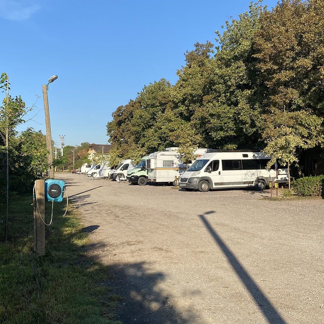 41150 Ormanya Kamp Alani 3